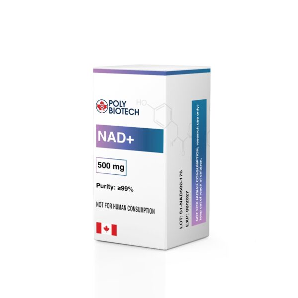 NAD+ (Nicotinamide Adenine Dinucleotide) – 500mg