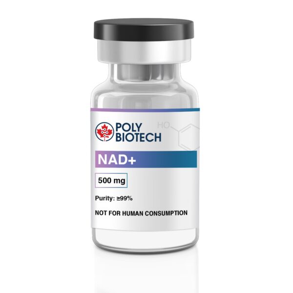 NAD+ (Nicotinamide Adenine Dinucleotide) – 500mg