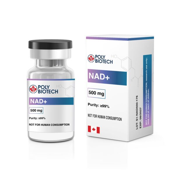 NAD+ (Nicotinamide Adenine Dinucleotide) – 500mg